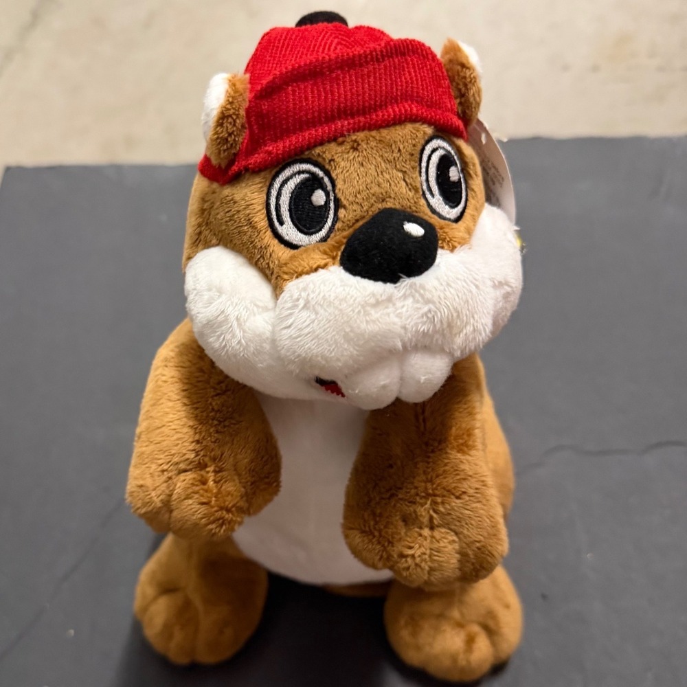 Buc-ee's Beaver Plush Stuffed Animal Toy Red Hat Texas Mascot 11 Inch NWT